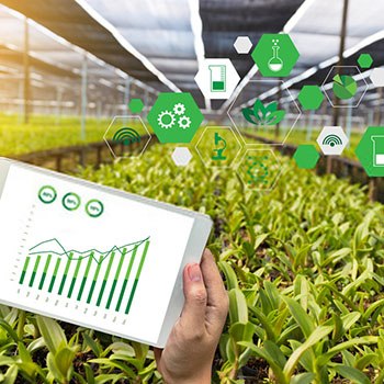Técnico en Prevención de Riesgos Laborales en Agricultura y Jardinería