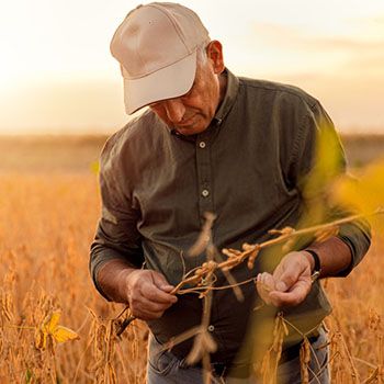Perito Judicial en Tasación y Valoración de Bienes Inmuebles Agrícolas y Ganaderos