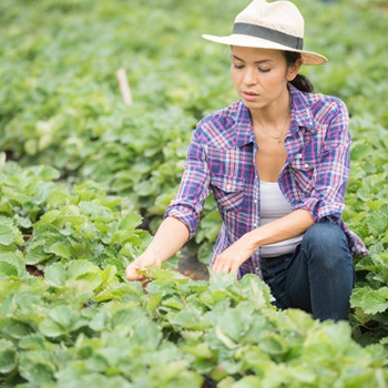 Curso de Auxiliar de Comedor y Ocio y Manipulador de Alimentos