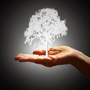 Instalación y Mantenimiento de Sistemas de Energía Solar Térmica