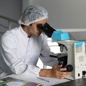 Productos Farmacéuticos, Dispensación y Utilización