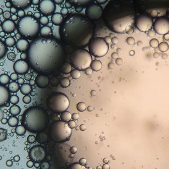 Experto en Farmacologí­a Clí­nica para Enfermerí­a