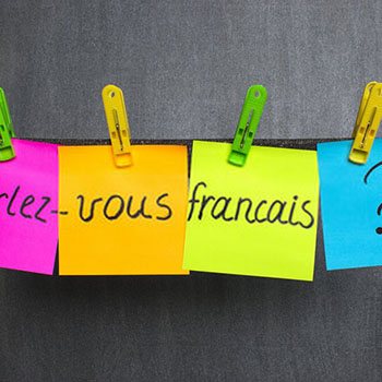 Experto en Aplicación de las TIC para Maestros de Primaria Especialidad Francés 