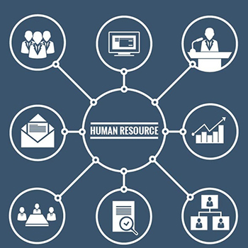 Dirección de Operaciones