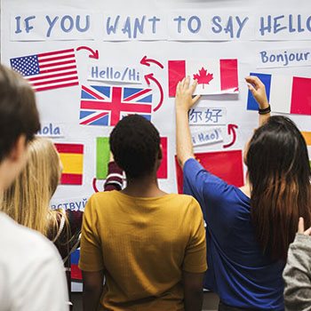 Curso Superior Francés Básico (Nivel Oficial Consejo Europeo A1-A2)