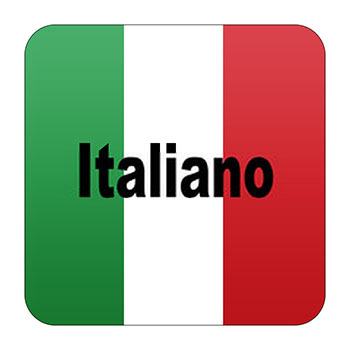 Master Executive en Italiano Profesional (Nivel Oficial Consejo Europeo B2)