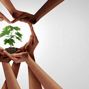 Curso de PRL en el sector agrario