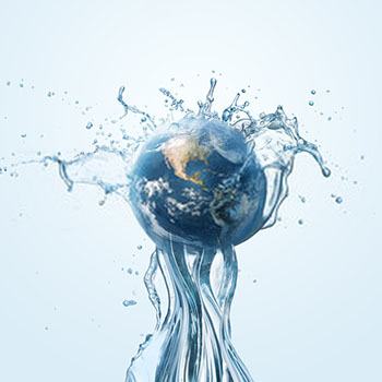 Energías Renovables: Especialidad Biomasa