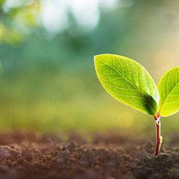 Gestión Ambiental