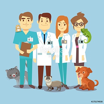 Auxiliar de Veterinaria