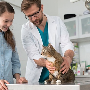 Consulta Clínica Veterinaria